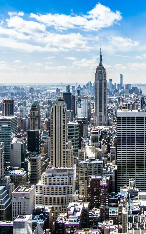 What Our CFO Services in New York Include? What Our CFO Services in New York Include?